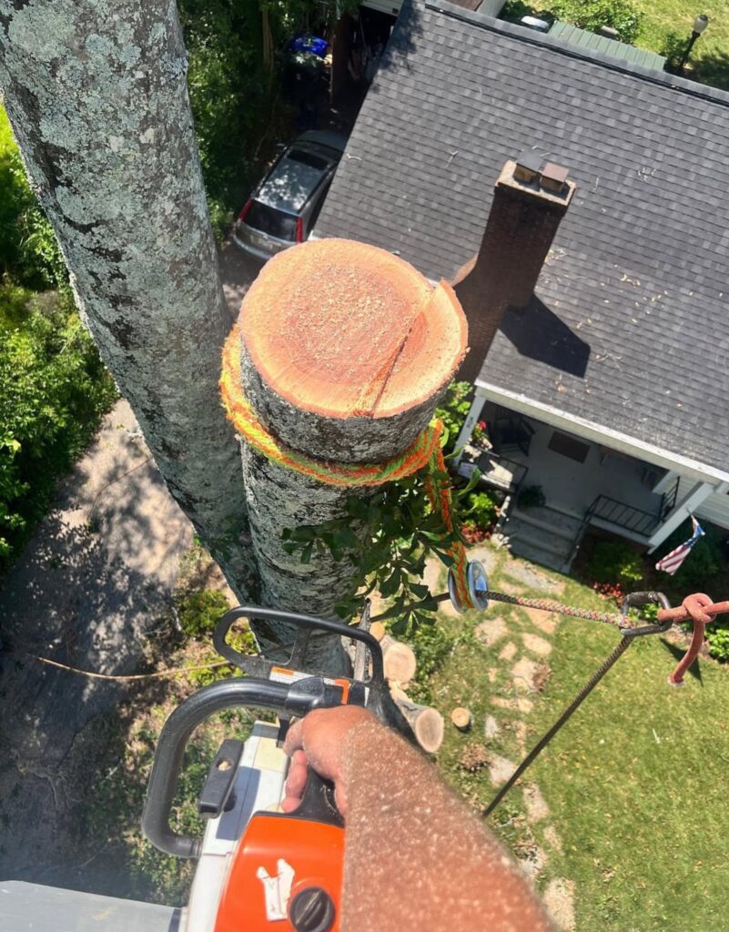 tca website vertical (1)