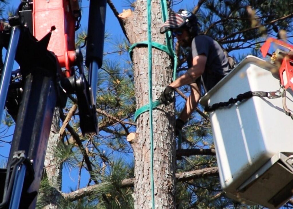 untitled design (13)