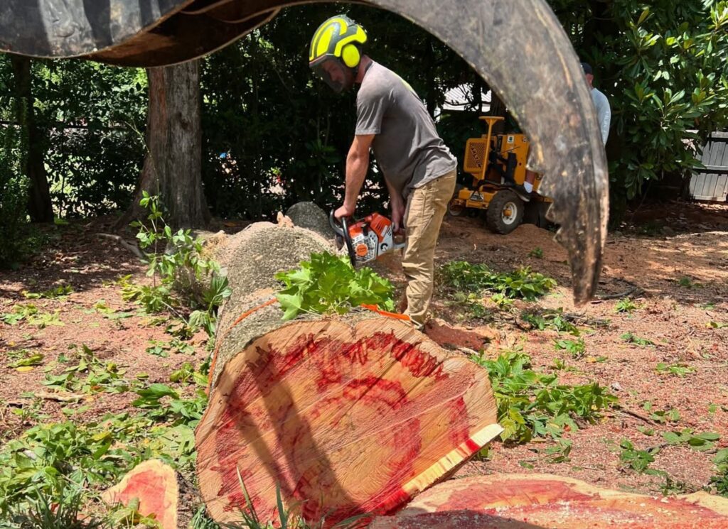 untitled design (23)