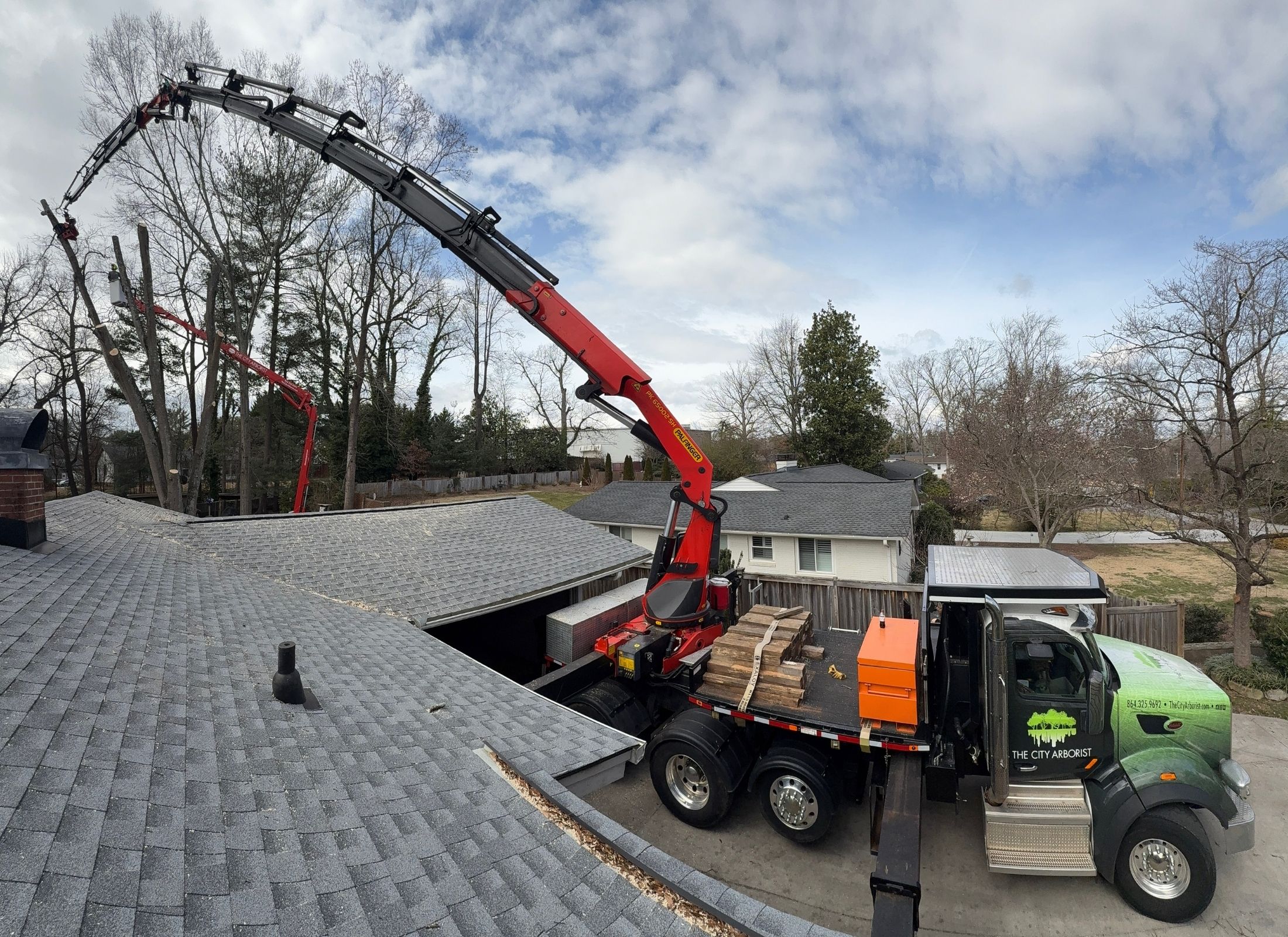 tree removal upstate sc