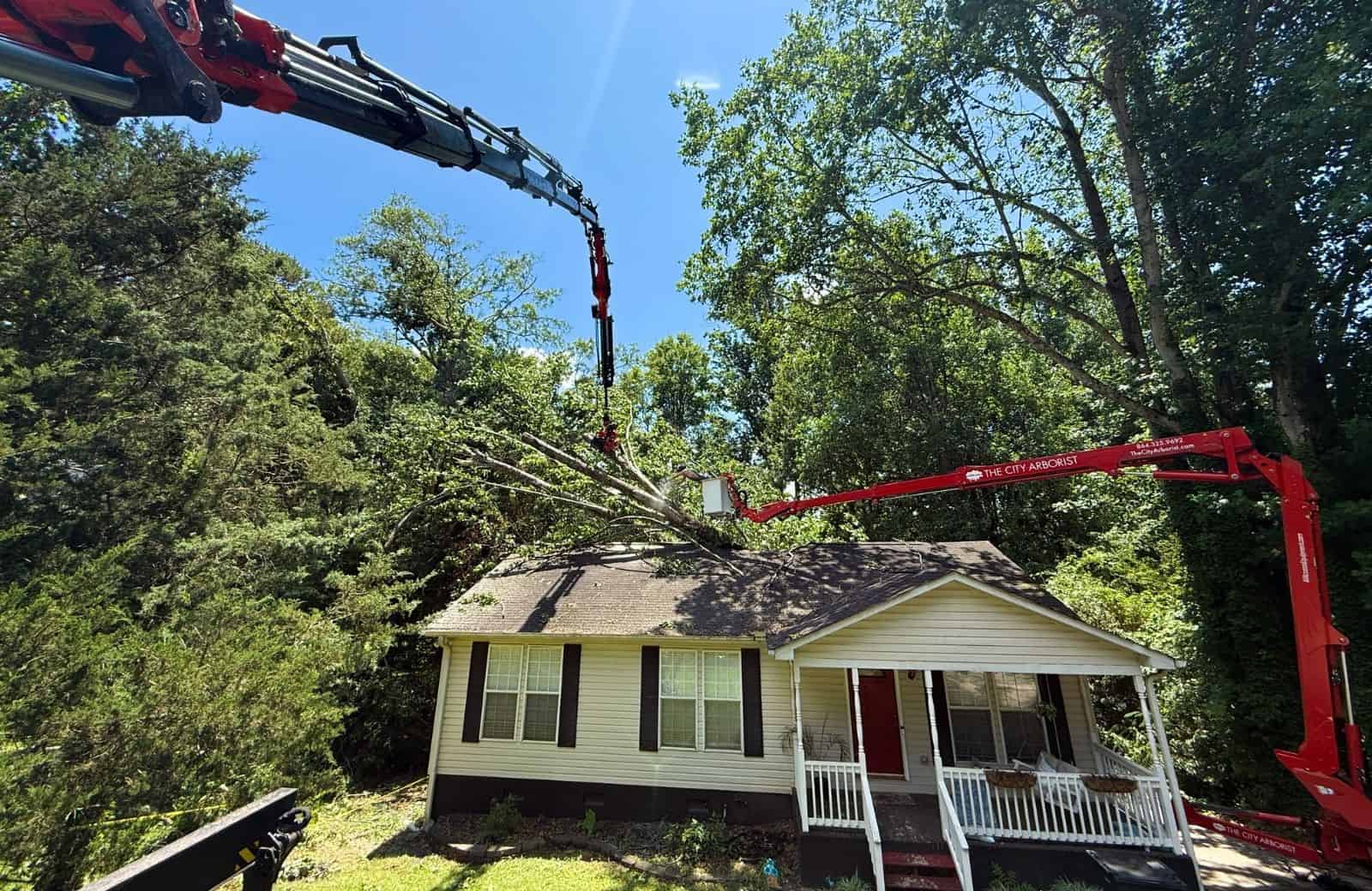 emergency tree removal greenville sc
